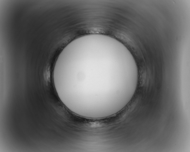 X0000088480310200706121535