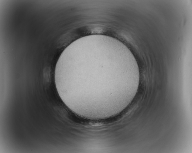 X0000088480311200706121535