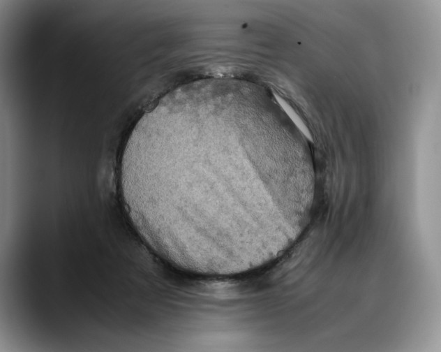 X0000088480313200706121535