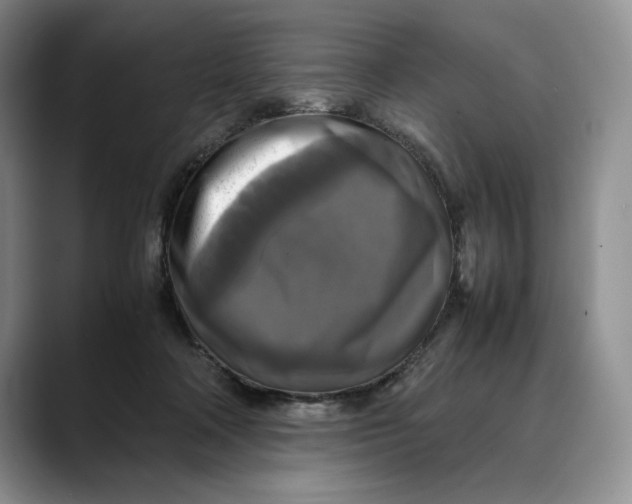 X0000088480314200706121535