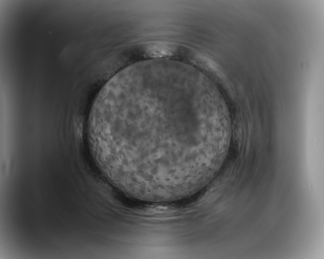 X0000088480315200706121535