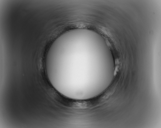 X0000088480317200706121535