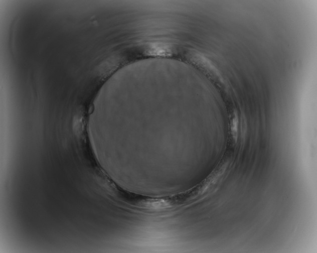 X0000088480322200706121535