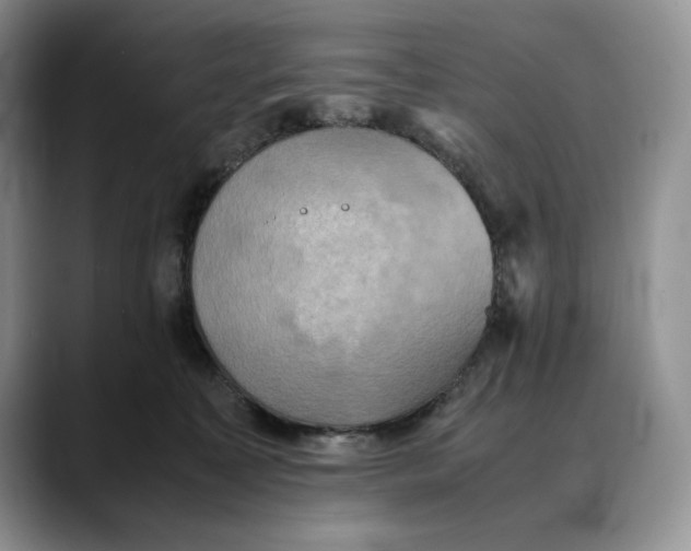 X0000088480323200706121535