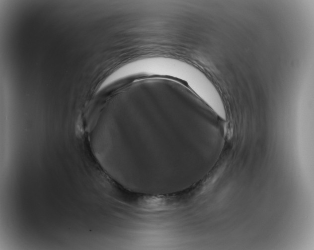 X0000088480325200706121535