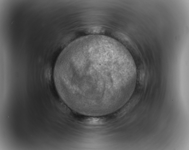 X0000088480326200706121535