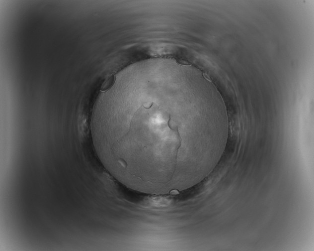 X0000088480327200706121535