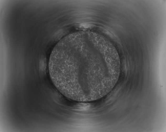 X0000088480328200706121535