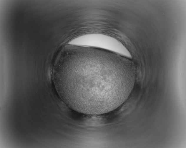 X0000088480329200706121535