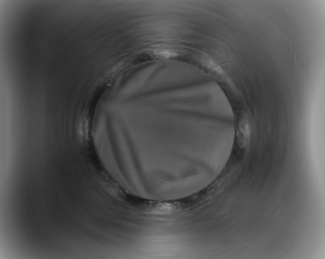 X0000088480330200706121535