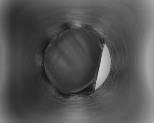 X0000088480331200706121535