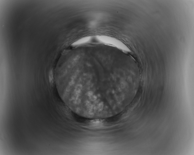 X0000088480335200706121535