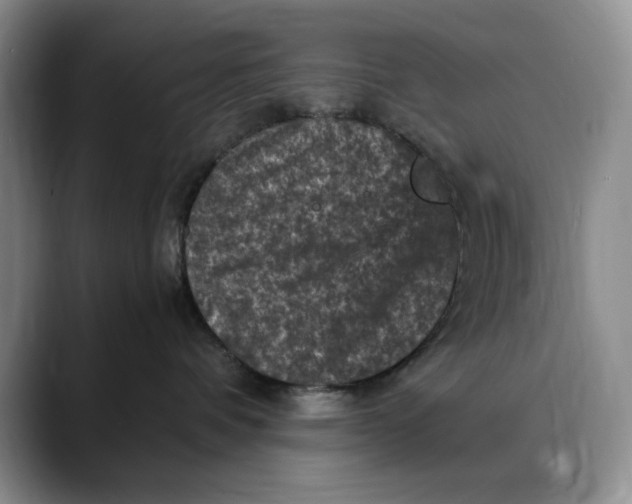 X0000088480336200706121535