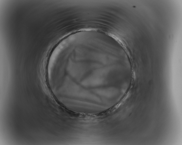 X0000088480337200706121534