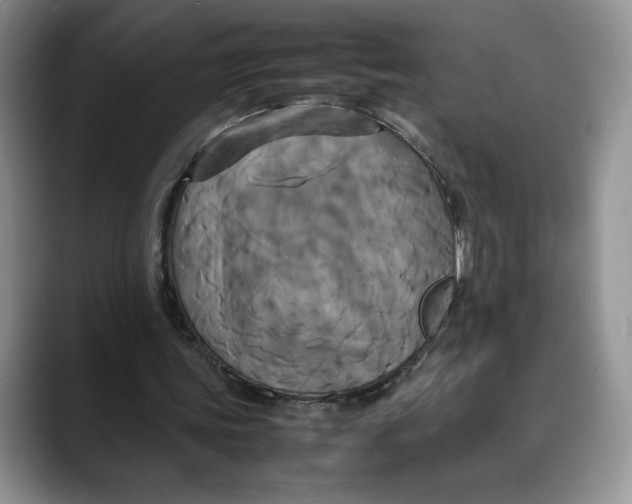 X0000088480339200706121535