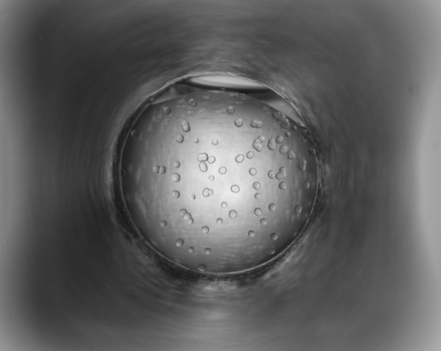 X0000088480340200706121535