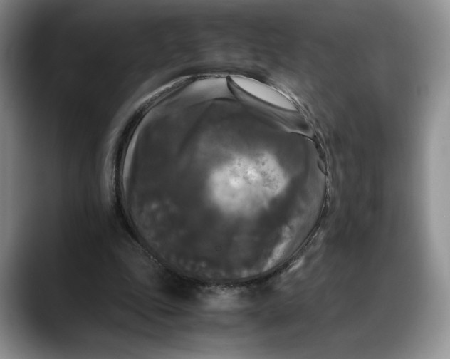 X0000088480343200706121535