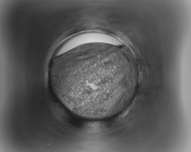 X0000088480344200706121535