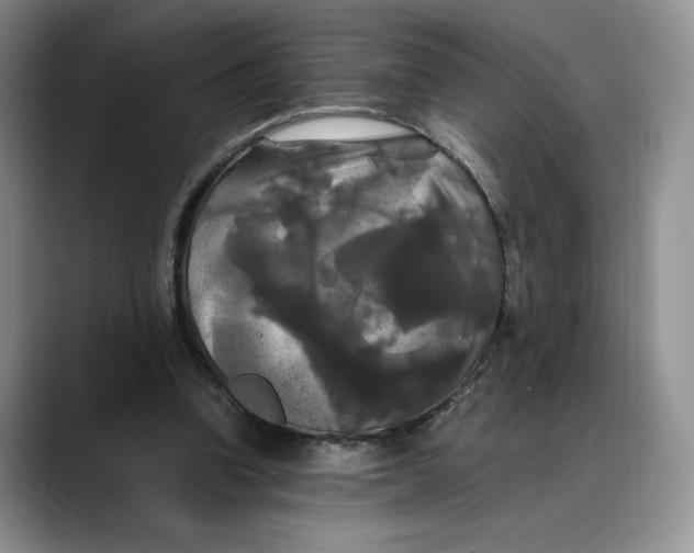 X0000088480346200706121535