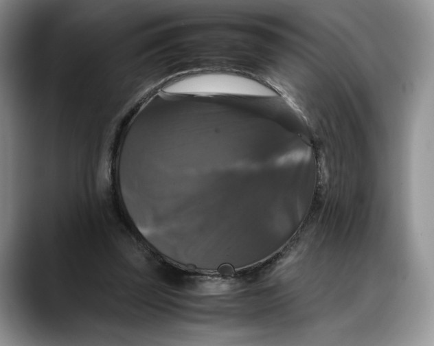 X0000088480347200706121535