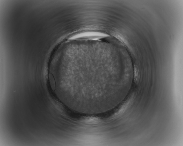 X0000088480348200706121535