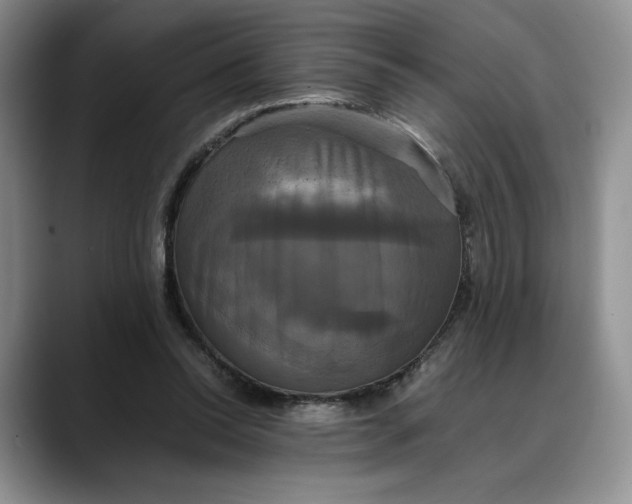 X0000088480350200706121535