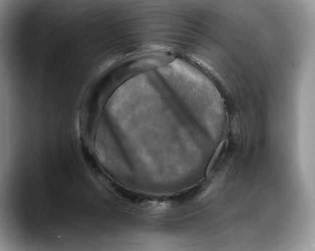 X0000088480352200706121535