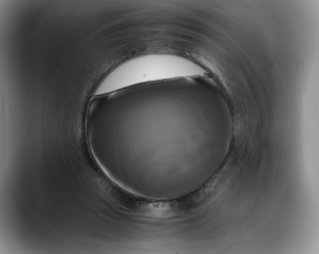 X0000088480353200706121535