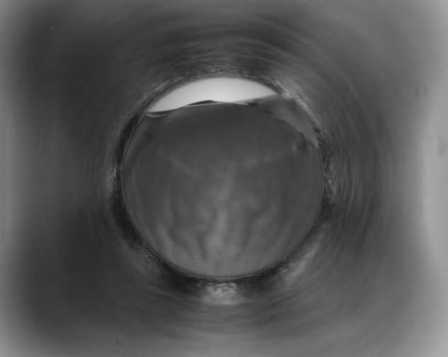 X0000088480355200706121535