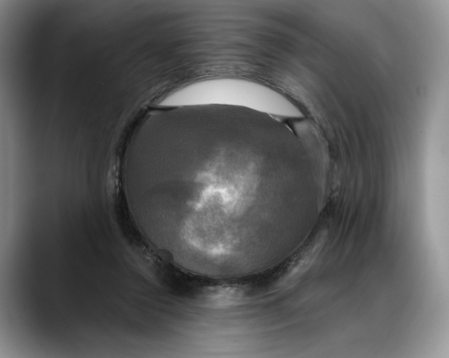 X0000088480356200706121535