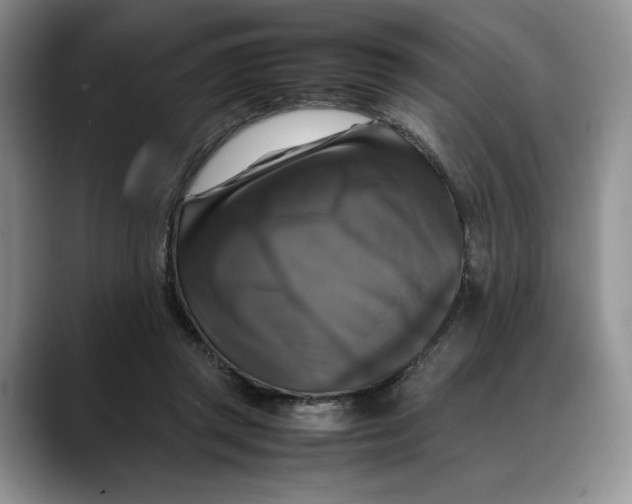 X0000088480357200706121535