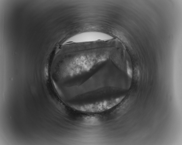 X0000088480358200706121535