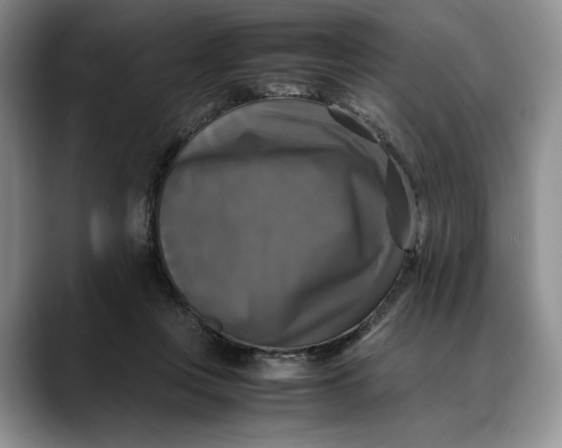 X0000088480359200706121535