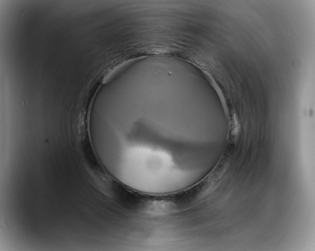 X0000088480360200706121535