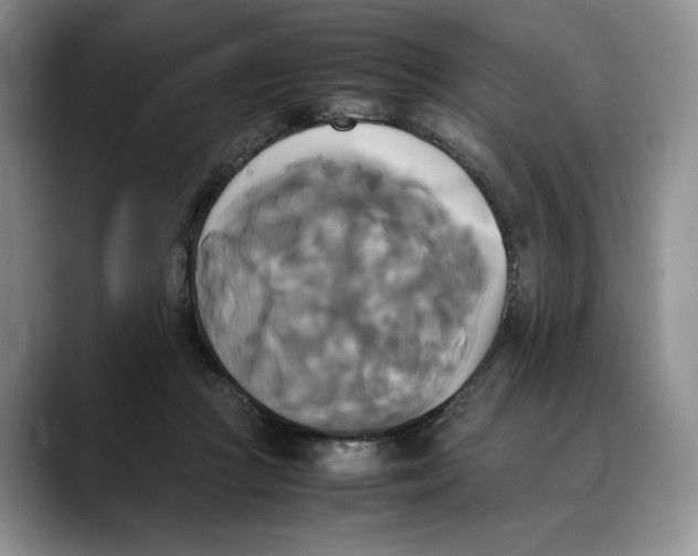 X0000088480361200706121535