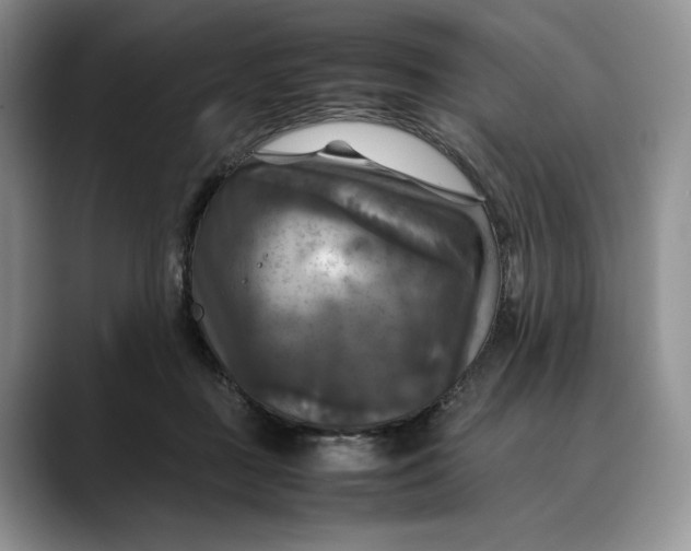 X0000088480363200706121535