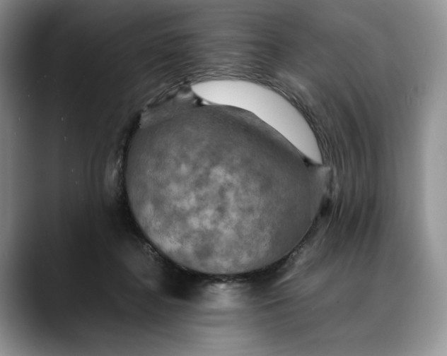 X0000088480364200706121535