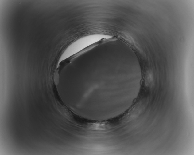 X0000088480366200706121535