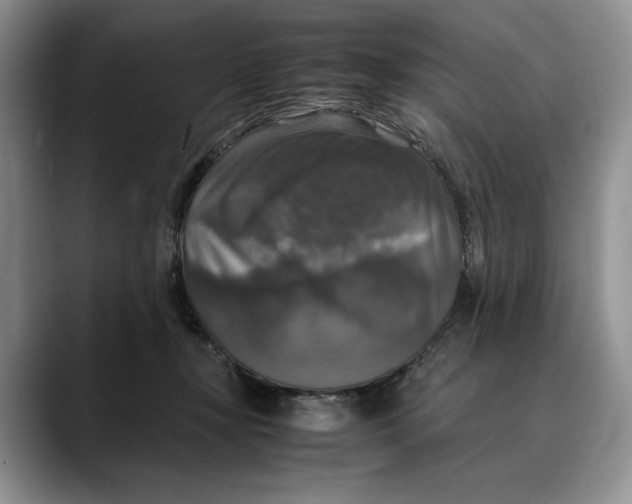 X0000088480367200706121535