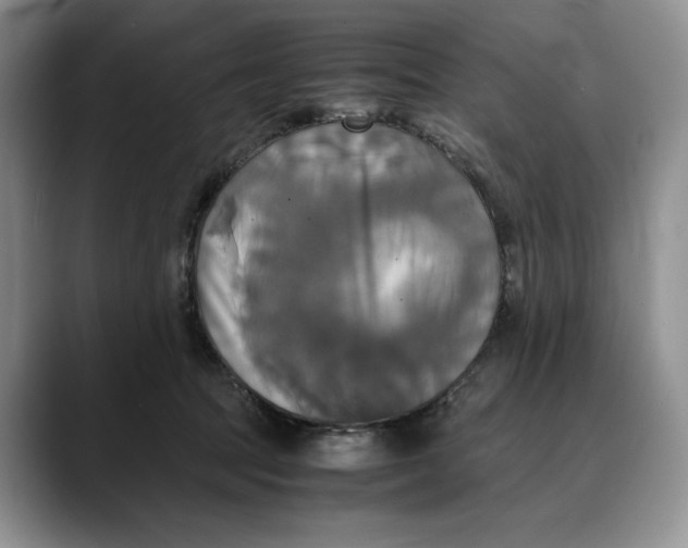 X0000088480369200706121535