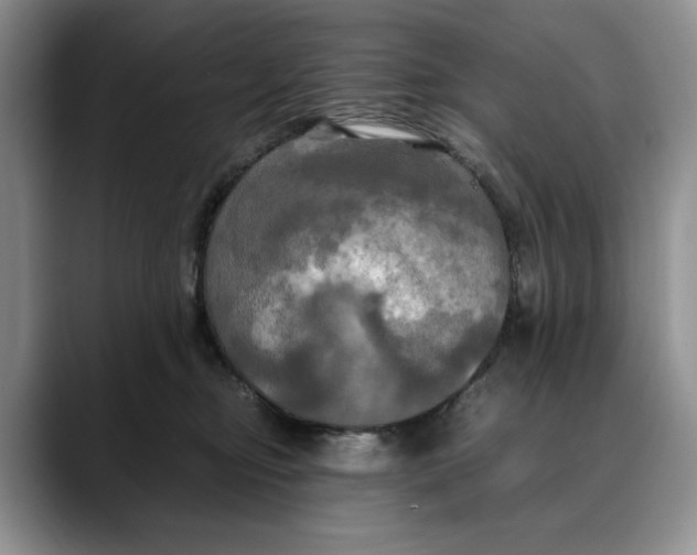 X0000088480374200706121535