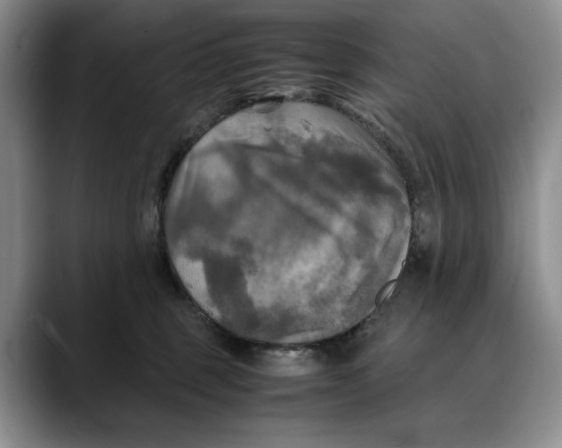 X0000088480375200706121535