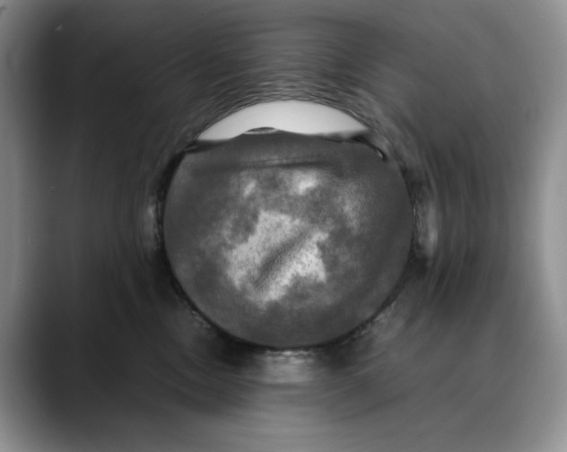 X0000088480378200706121535