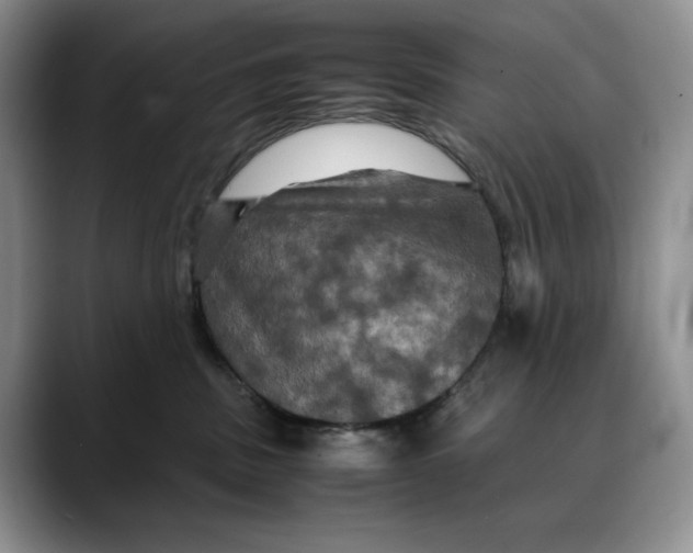 X0000088480379200706121535