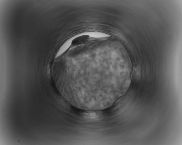 X0000088480381200706121535