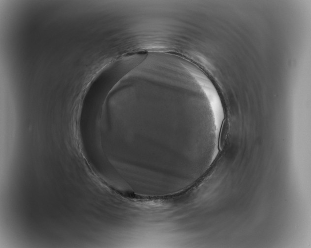 X0000088480385200706121534