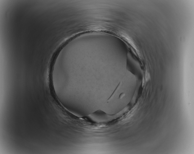 X0000088480387200706121534