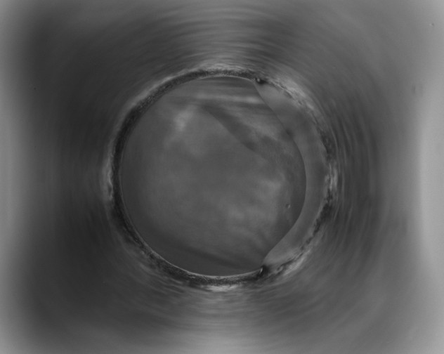 X0000088480388200706121534