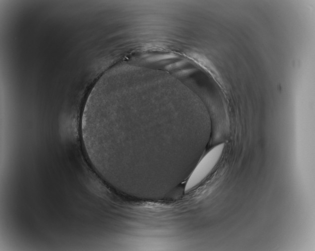 X0000088480393200706121534