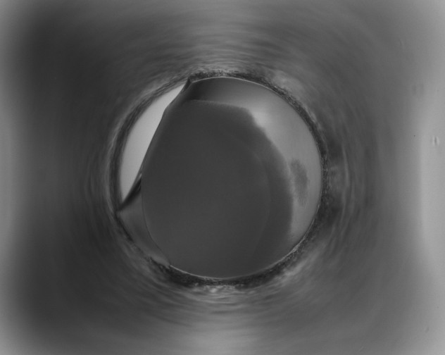 X0000088480395200706121534